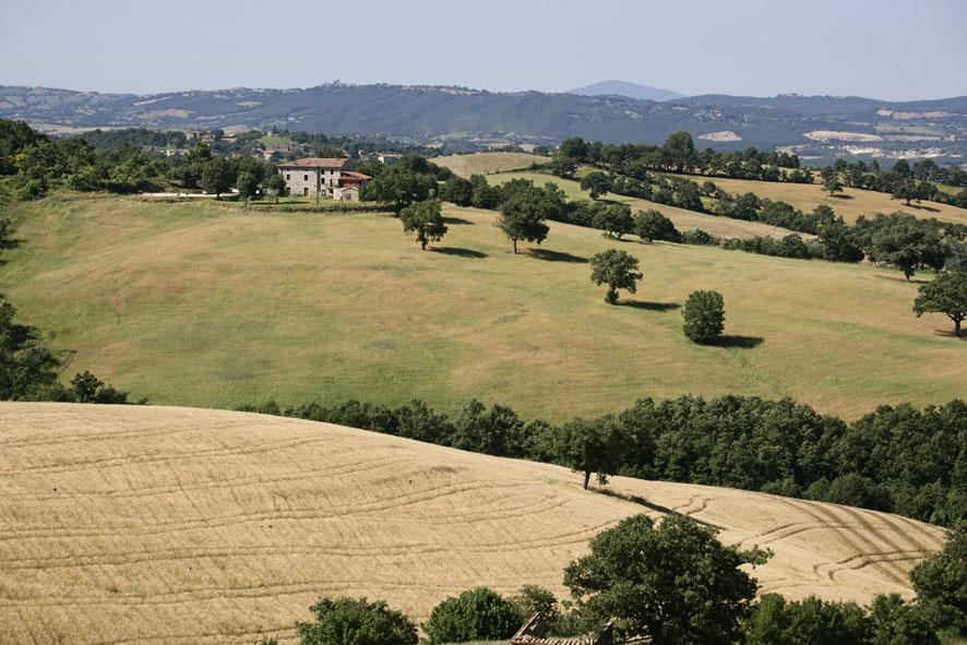 Agriturismo D' Epoca La Marianella Catabbio Zimmer foto